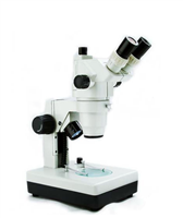 体视显微镜GL99TI